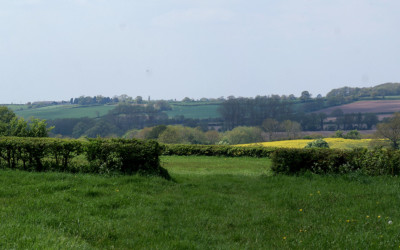 006-hunningham
