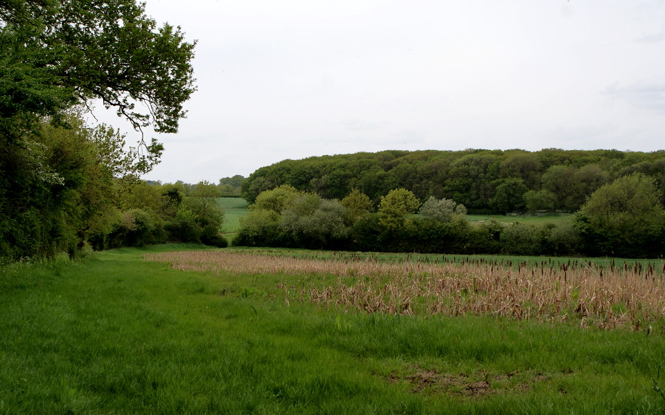 011-radstone_bridleway
