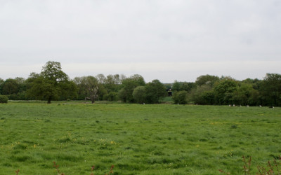 scene-
