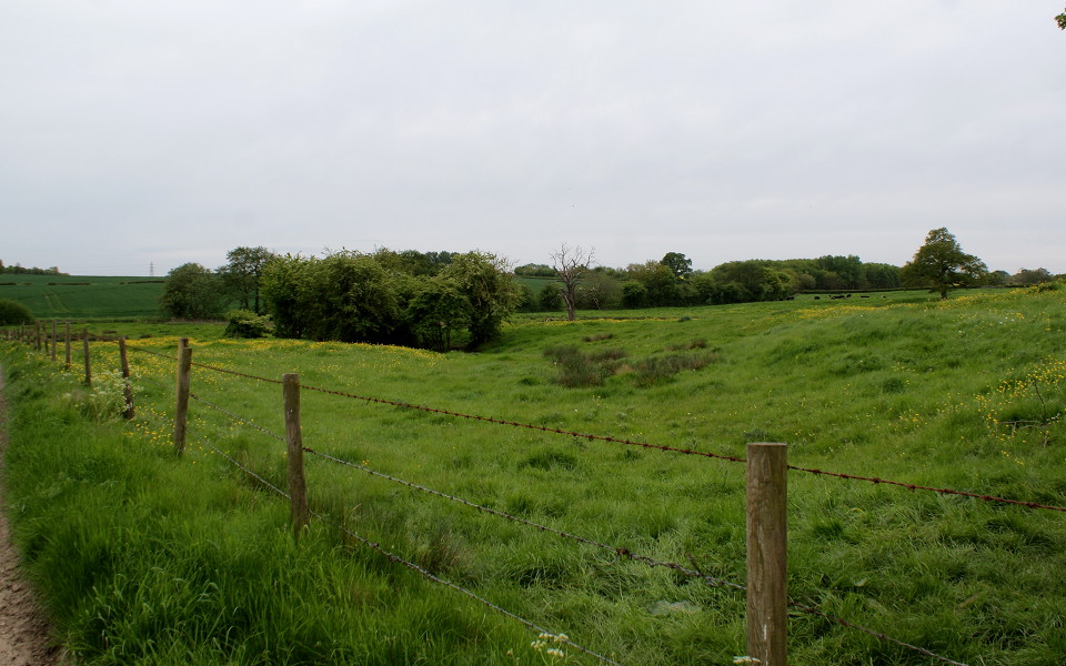 015-radstone_meadows-east