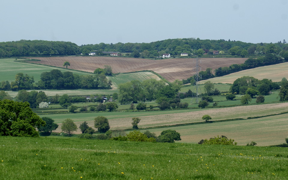 016-kingsash_from_cobblershill