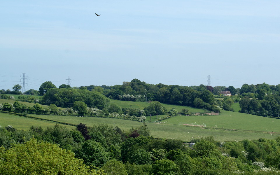 017-tunnel_portal_from_coneybank_wood