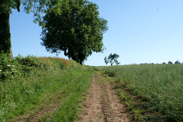 024-mosseycorner_lane-add