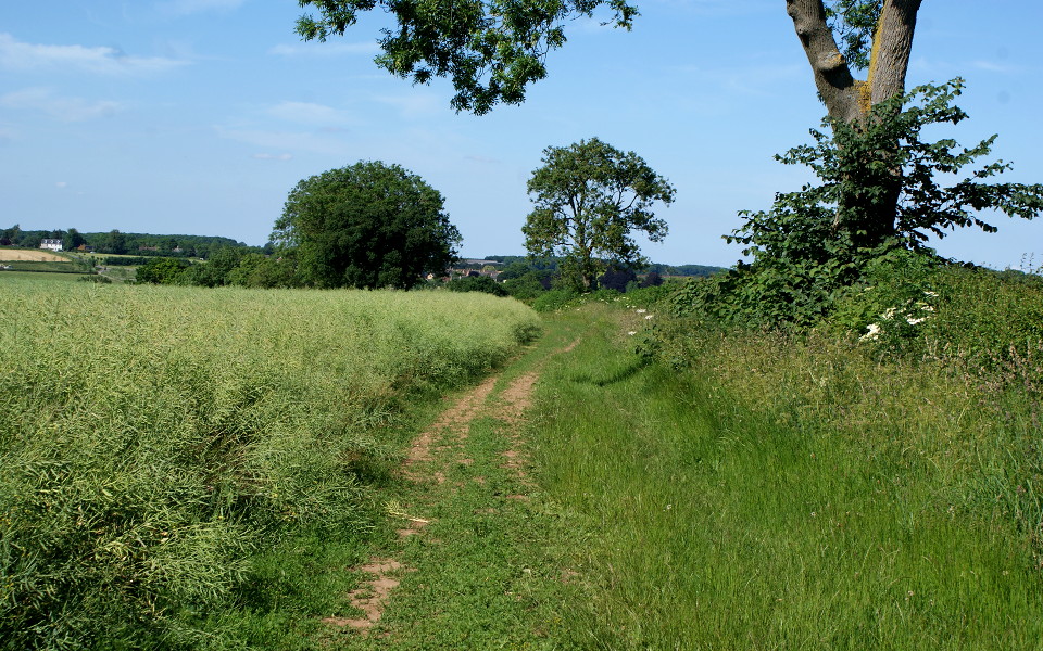 024-mosseycorner_lane