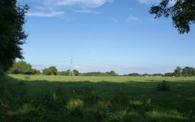 scene-