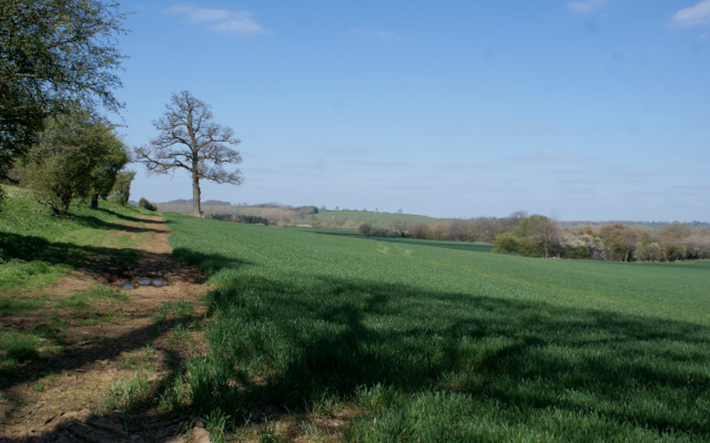 028-edgcote_lodge-photo