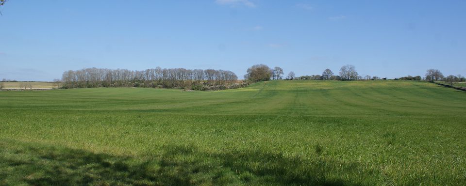 030-danesmoor_welsh_lane