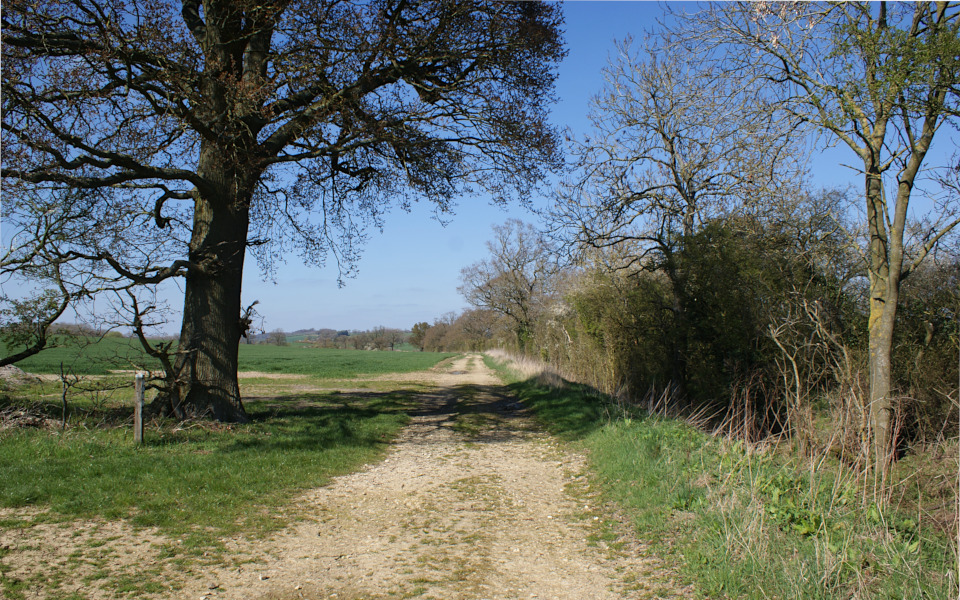 030-danesmoor_welsh_lane