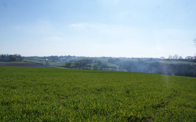 scene-