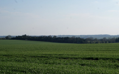 scene-