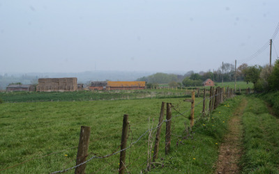 scene-