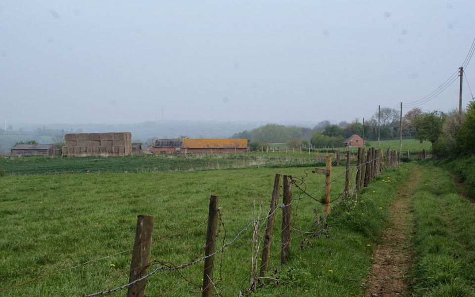 036-field_farm_appletree