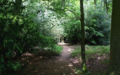 s02-chilterns_tunnel_portal