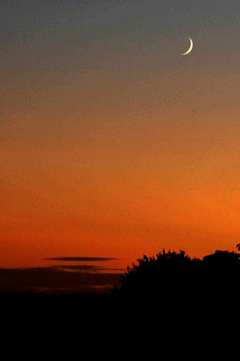 Landscape image, ‘Blackberry Moon’ (cropped)