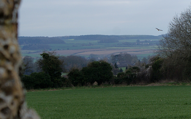 Landscape image, ‘And yes, ‘The Hawk Stone’ really does have hawks!’