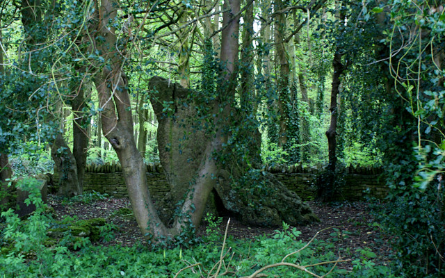 The Hoar Stone, from the main road side