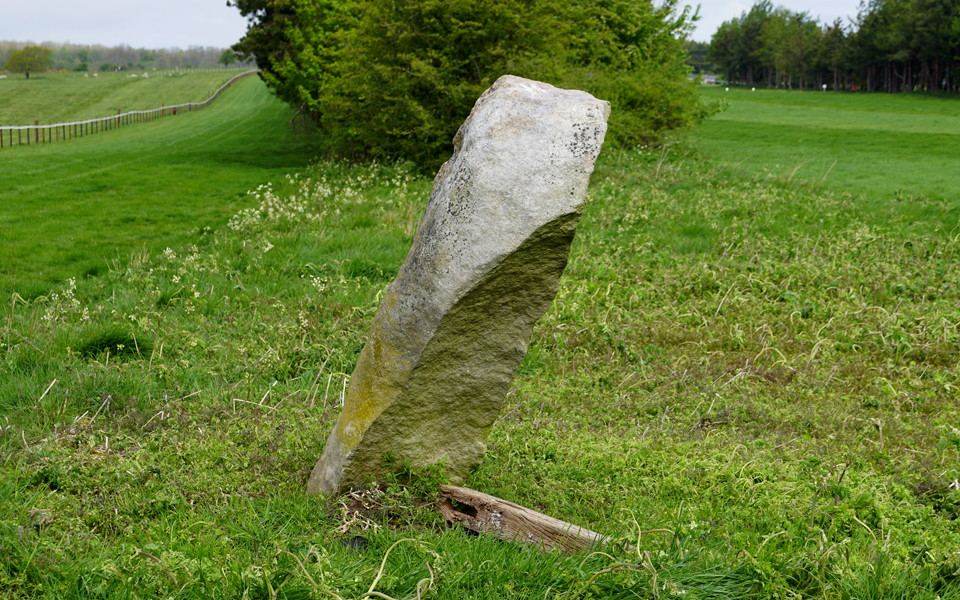 09